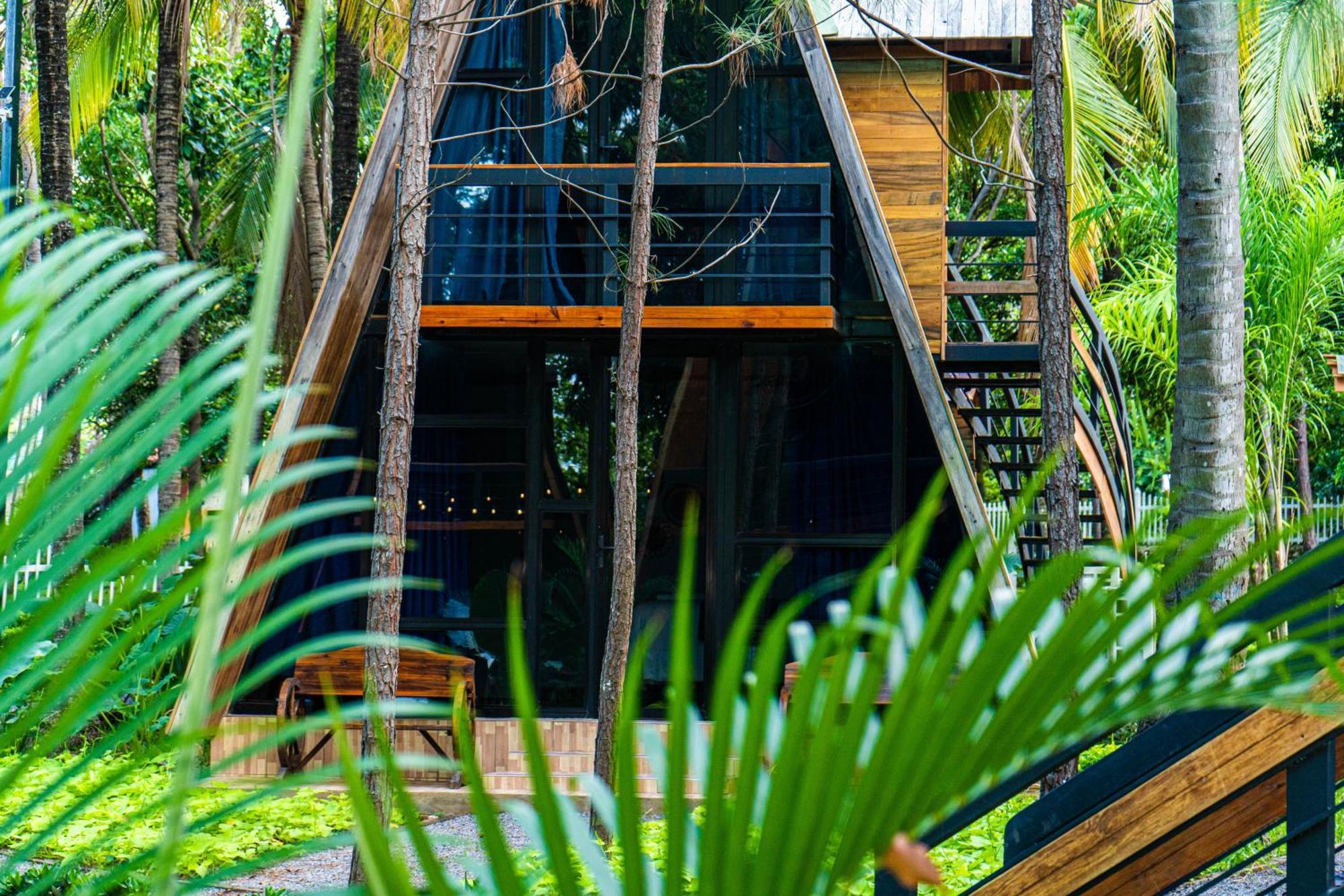 Hotel De Cristal & Hacienda De Los Morales San Miguel Exteriör bild